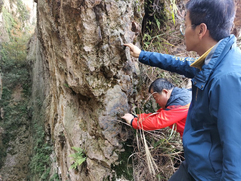2技术人员对采场张裂隙进行现场调查.jpg